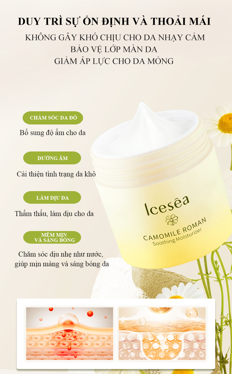 icesea罗马洋甘菊舒缓柔护霜详情-图（已排版）_03.jpg